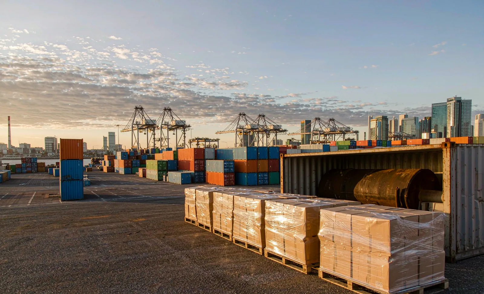 Industrial container terminal yard with palletised export cartons awaiting loading for bulk phosphatidylserine shipments