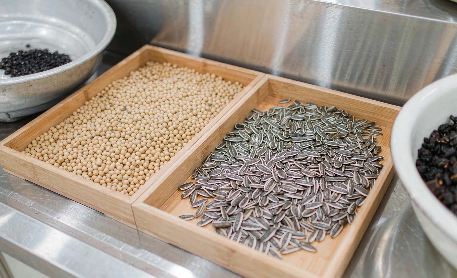 Soy vs Sunflower Phosphatidylserine: Sourcing Guide for US & EU Buyers | Nutranexa guide for ingredient buyers